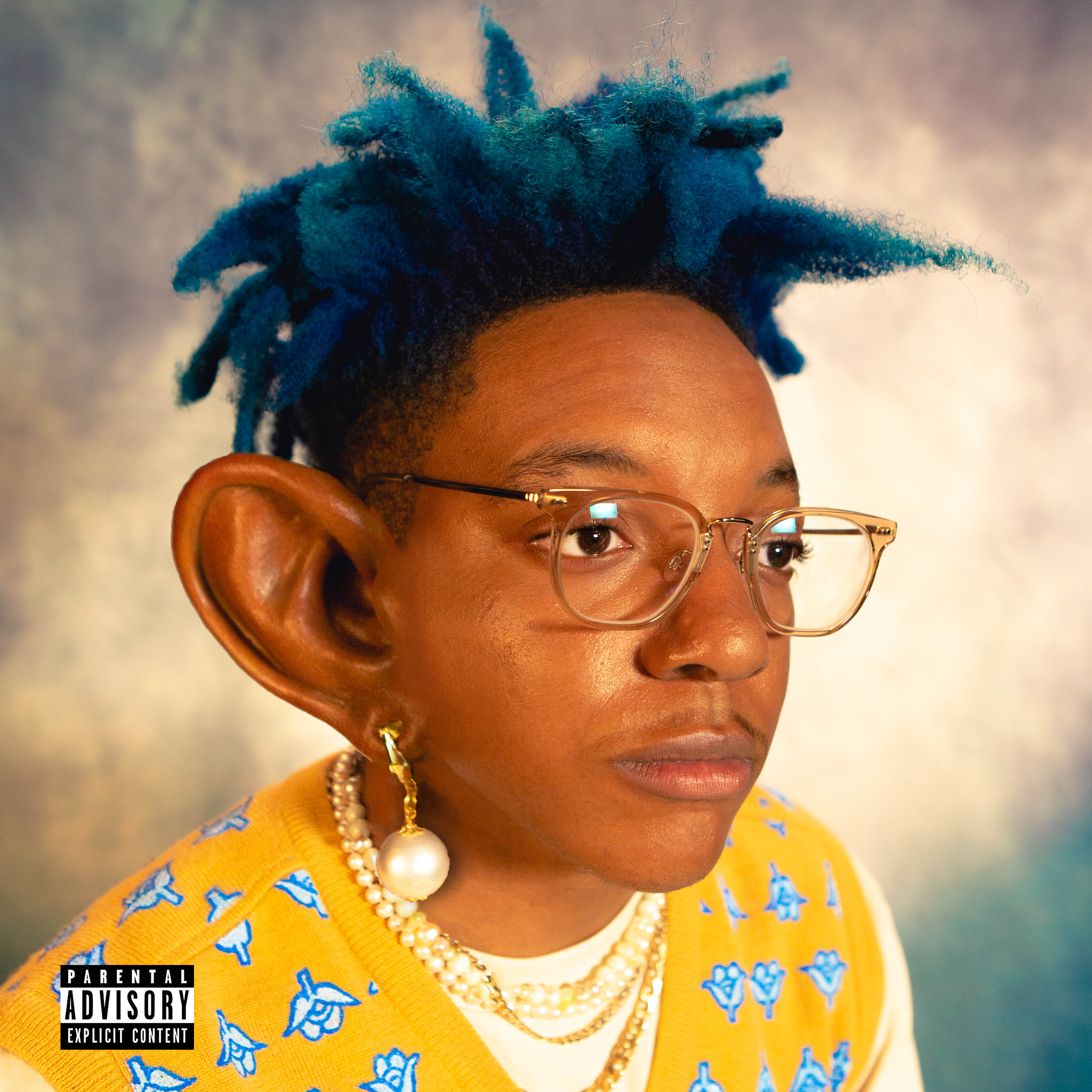 EVERYBODY'S IN MY EAR cover